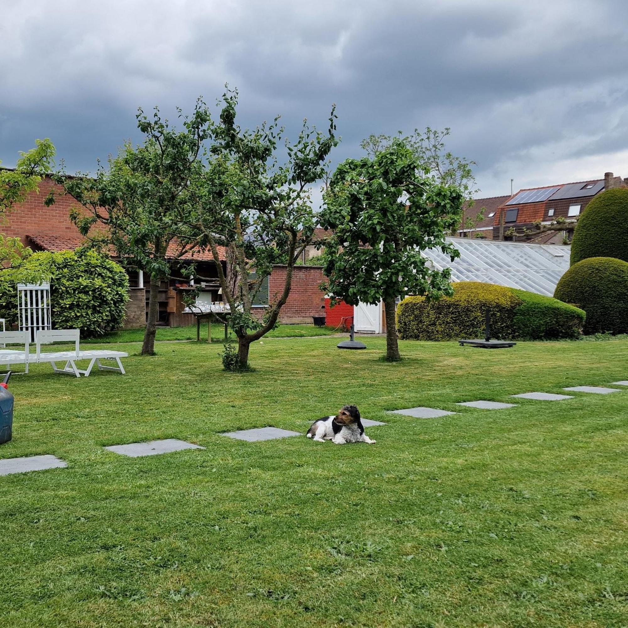 B&B Fine Fleur Bruges Exterior photo